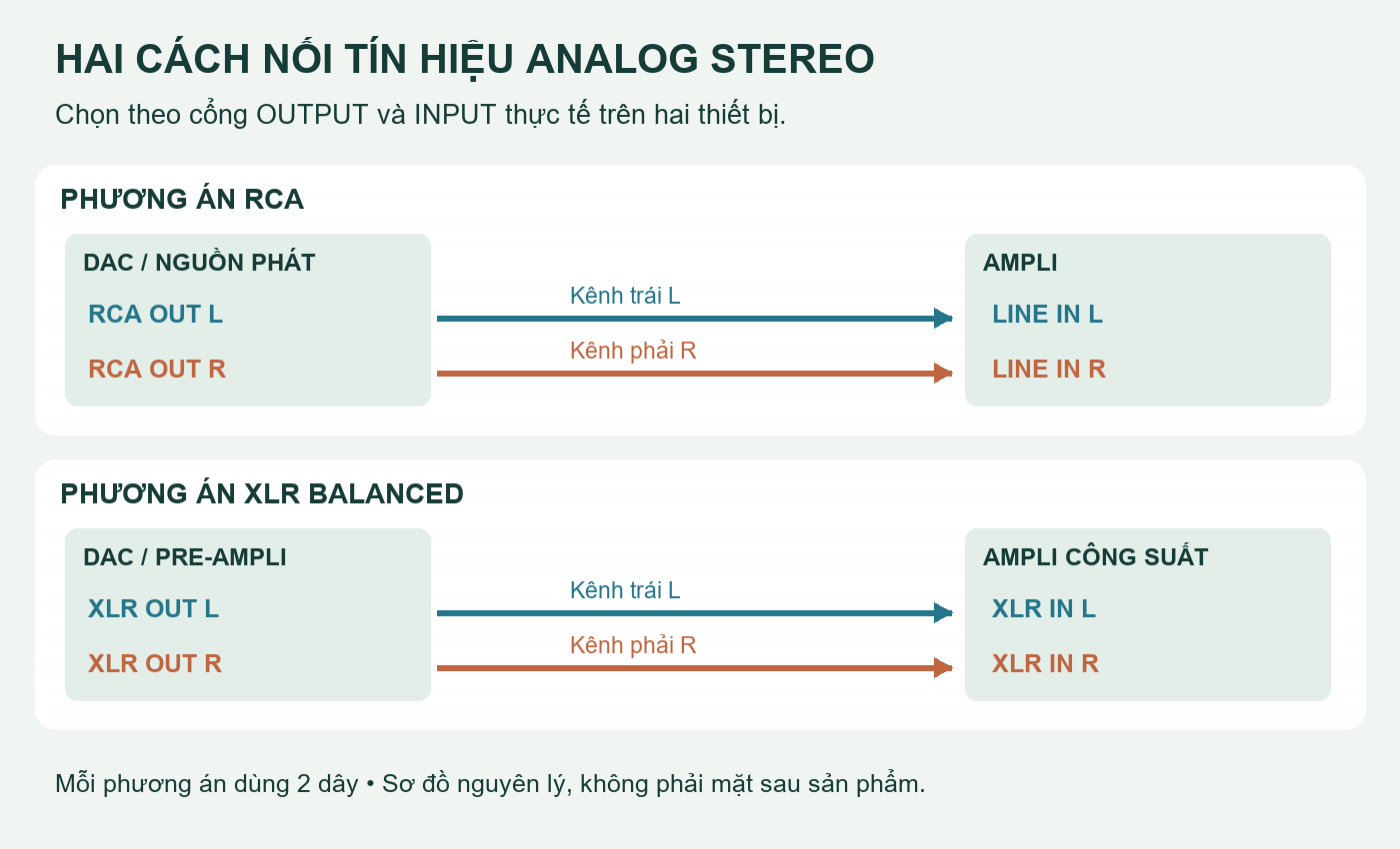 Hai phương &aacute;n nối DAC với ampli: cặp RCA L R hoặc cặp XLR balanced L R