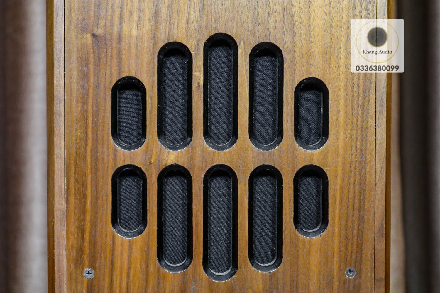 Loa Kèn W1