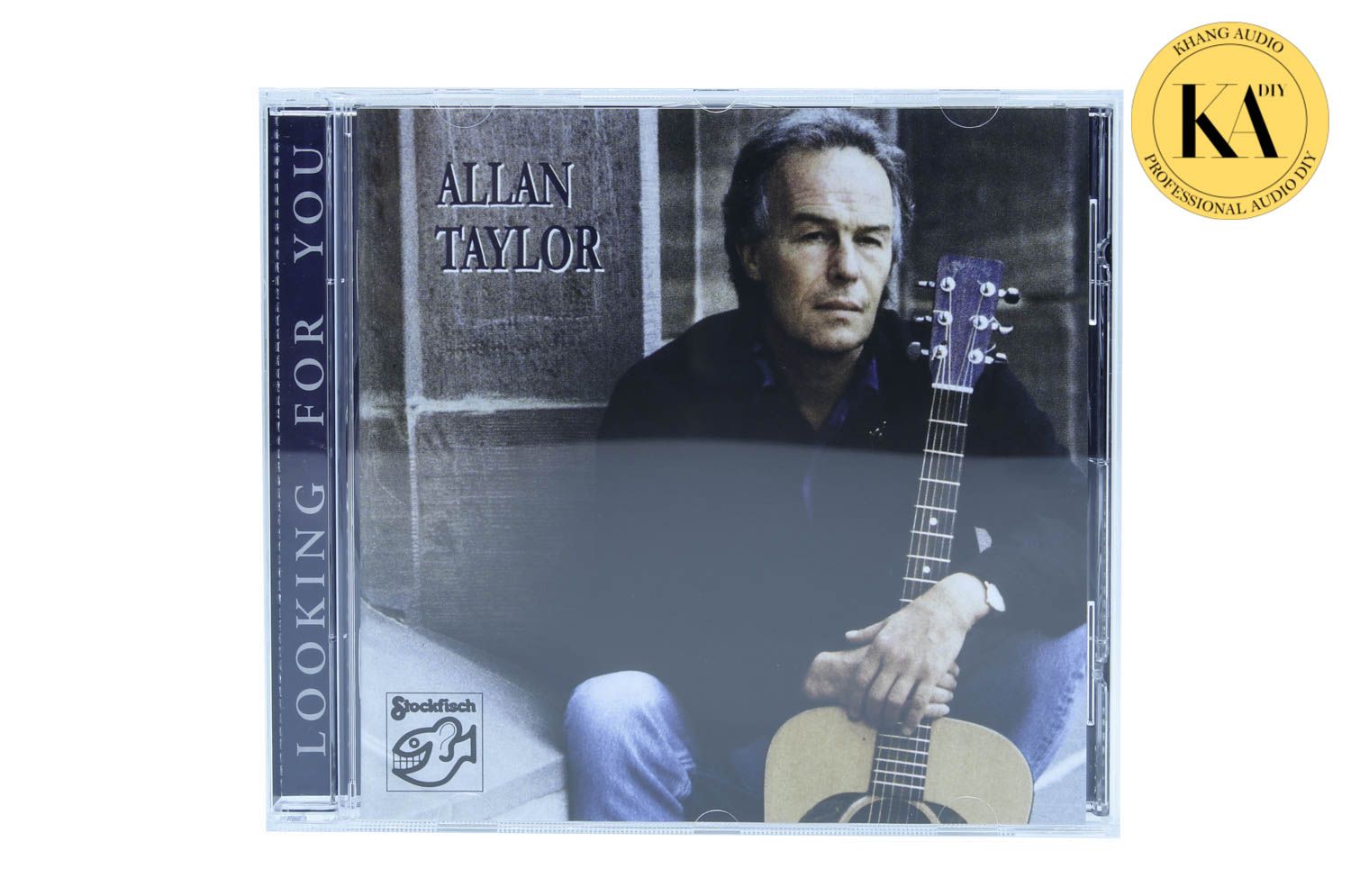 Looking For You - Allan Taylor
