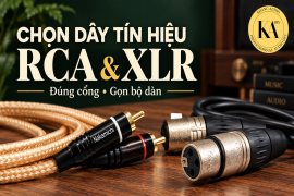 Chọn dây tín hiệu analog RCA và XLR cho bộ dàn