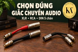 Giắc tín hiệu audio: chọn đúng đầu nối và bộ chuyển đổi