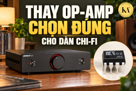 Thú Chơi 