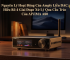 Nguyên Lý Hoạt Động Của Amply Liền DAC: Hiểu Rõ 4 Giai Đoạn Xử Lý Qua Cấu Trúc Của AIYIMA A80