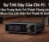 Sự Trỗi Dậy Của Chi-Fi: Vì Sao Trung Quốc Trở Thành Thung Lũng Silicon Của Linh Kiện Âm Thanh Hi-End?